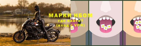 гашик Кулебаки